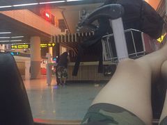 -西蒙人妖秀