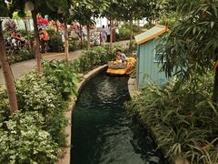 -南宫五洲植物乐园