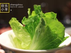生菜-快乐小羊火锅餐厅(农科路店)