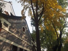 -山东大学(趵突泉校区)