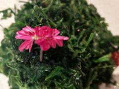 -聚宾楼·烤鸭·家宴(科技三路店)