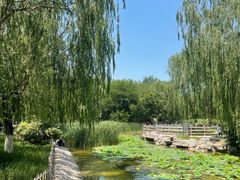 -丰台科技园生态主题公园