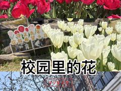 -杭州电子科技大学(下沙校区)