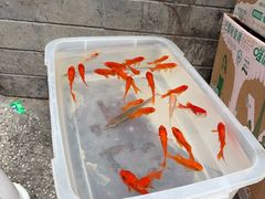 -小街47號江湖菜(四合院店)
