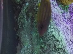 -沈阳海洋探索中心