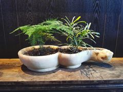 -鼓楼东街老火锅(鼓楼店)