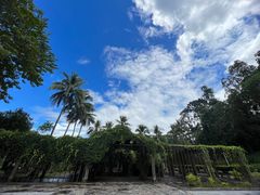 -中国科学院西双版纳热带植物园