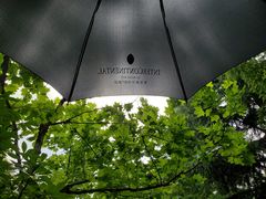 -青岛海尔洲际酒店