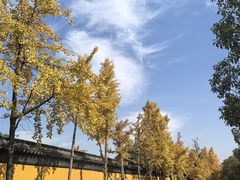 -西园寺素食(西园弄戒幢律寺店)
