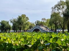 -长春市南湖公园