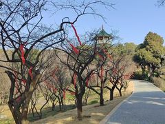 -无锡梅园公园