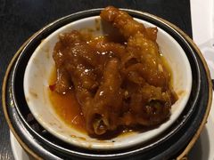 -糖朝(尖沙咀店)