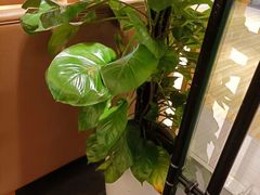 -禾绿回转寿司(苏宁广场店)
