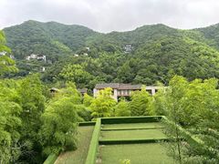 -宁海安岚·南溪阁全日餐厅