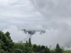 -江南天池