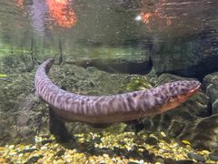 -成都浩海立方海洋公园