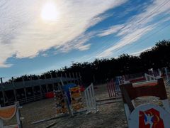 -北京群众马术培训基地