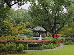 -申粤轩酒楼·三十年粤菜经典(丁香花园店)