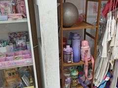 -西安小天鹅艺术团(金花路校区)