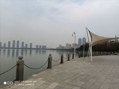 -燕鸣岛
