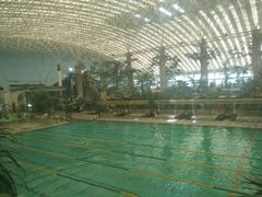 -龙脉温泉室内游泳馆