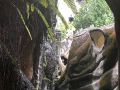 -疯狂屋