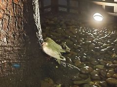 -龙翔服饰城(龙翔大厦店)