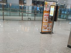 -麦当劳(北京大兴机场二层国内到达(安检外)店)