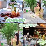 沈阳探店｜SOOSOO花园西餐厅