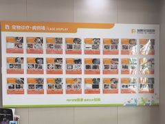 -瑞鹏宠物医院·骨外科·心肾科·肿瘤科(九亭店)