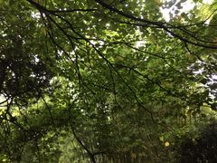 竹里馆-新竹里馆·花园餐厅(兴苑路店)