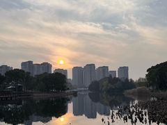 -新江湾城公园