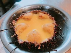 海胆蒸蛋-海味当家·蒸锅海鲜(中山广场创始店)