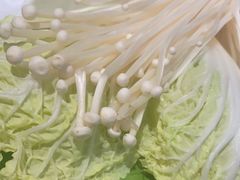-三人行骨头王火锅(长寿店)