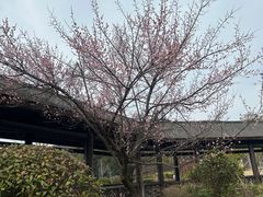 -宁波富邦荪湖山庄(慈城古县城店)
