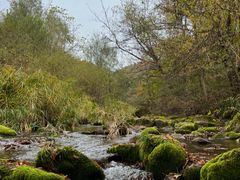 -三块石国家森林公园