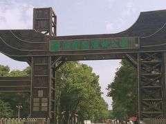 -溱湖国家湿地公园