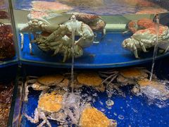 -海景壹号大酒店(滨湖店)