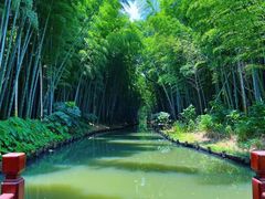 -同里国家湿地公园