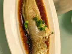 -京香轩·中餐厅(上海中庚聚龙酒店)