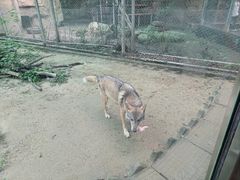 -成都动物园