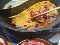 -阳阳老火锅(小南门店)