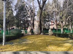 -双榆树公园