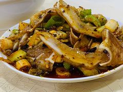 -天一沾水肥肠(科园一街店)
