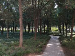 -郑州烈士陵园(二七区)