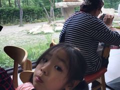 -上海野生动物园老虎餐厅