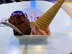 -野人牧坊Gelato(天津南开大悦城店)