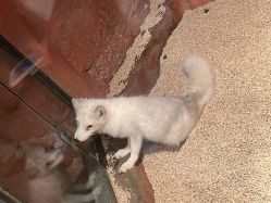 -Zoolung Zoolung动物主题公园(海信广场店)