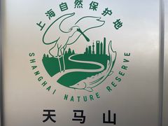 -上海佘山国家森林公园天马山园