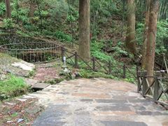 -东天目山风景区